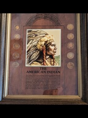 Coin Collector Framed 'The American Indian' Wall Art - W/ 10 Indian Head Coins